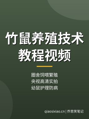 竹鼠养殖技术教程:圈舍饲喂繁殖防病,央视农广天地高清视频(干货满满)