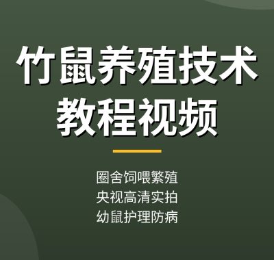 竹鼠养殖技术教程：圈舍饲喂繁殖防病，央视农广天地高清视频（干货满满）