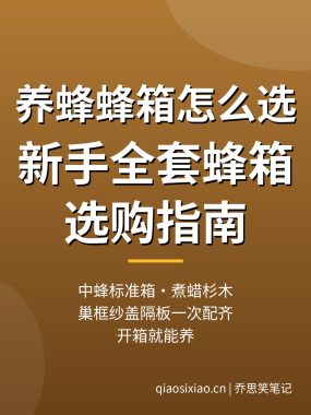养蜂蜂箱怎么选？新手全套蜂箱选购指南