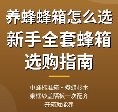 养蜂蜂箱怎么选？新手全套蜂箱选购指南