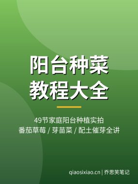 阳台种菜视频教程 家庭阳台种植蔬菜番茄草莓芽苗菜配土催芽_夸克网盘下载