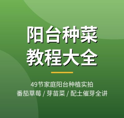 阳台种菜视频教程 家庭阳台种植蔬菜番茄草莓芽苗菜配土催芽_夸克网盘下载