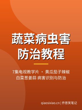 蔬菜病虫害防治视频教程7集 黄瓜辣椒茄子白菜病害识别夸克网盘下载