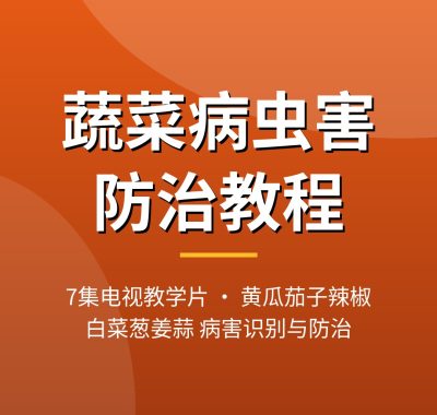 蔬菜病虫害防治视频教程7集 黄瓜辣椒茄子白菜病害识别夸克网盘下载