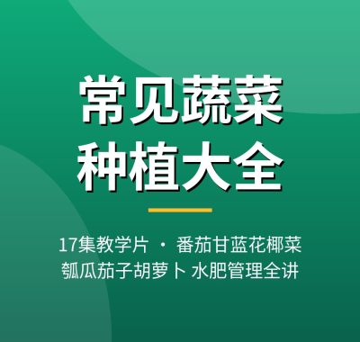 常见蔬菜种植技术视频教程17集 番茄甘蓝花椰菜水肥管理夸克网盘下载