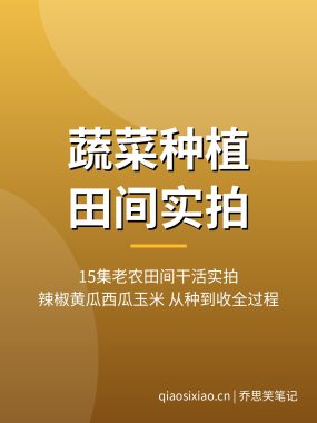 常见蔬菜种植田间实拍视频15集 老农父子种菜全过程夸克网盘下载