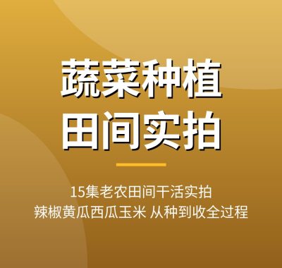 常见蔬菜种植田间实拍视频15集 老农父子种菜全过程夸克网盘下载