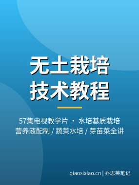 无土栽培技术视频教程57集 水培营养液配制蔬菜水培夸克网盘下载