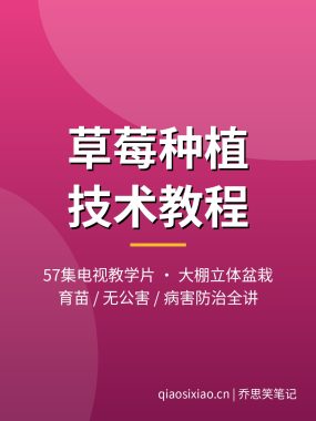 草莓种植技术视频教程57集 大棚立体盆栽育苗夸克网盘下载