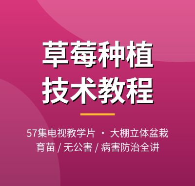 草莓种植技术视频教程57集 大棚立体盆栽育苗夸克网盘下载