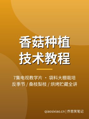 香菇种植技术视频教程7集 大棚袋料反季节栽培夸克网盘下载