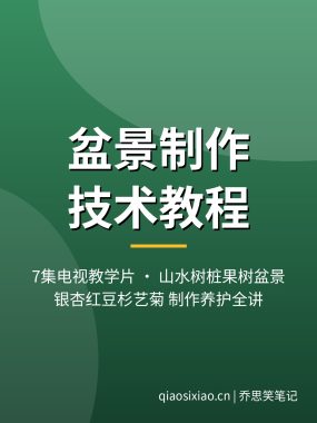 盆景制作技术视频教程7集 山水树桩果树盆景夸克网盘下载