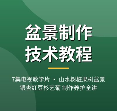 盆景制作技术视频教程7集 山水树桩果树盆景夸克网盘下载