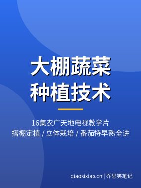 大棚蔬菜种植技术视频教程16集 农广天地教学片夸克网盘下载