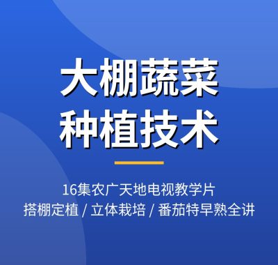 大棚蔬菜种植技术视频教程16集 农广天地教学片夸克网盘下载