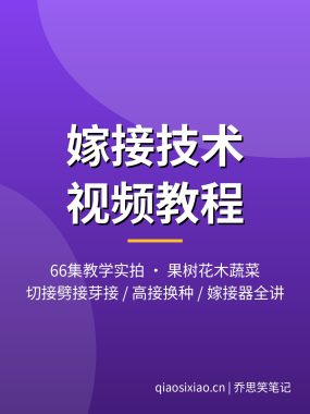 嫁接技术视频教程66集 果树花木蔬菜嫁接方法大全夸克网盘下载