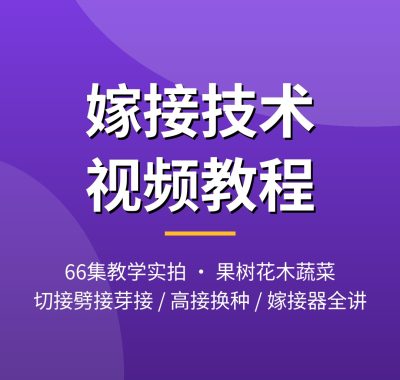 嫁接技术视频教程66集 果树花木蔬菜嫁接方法大全夸克网盘下载