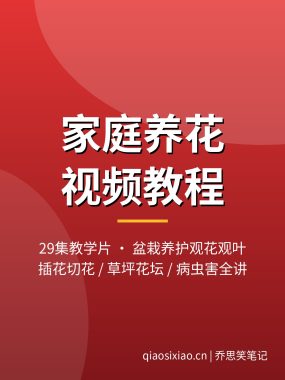 家庭养花视频教程29集 盆栽养护插花切花夸克网盘下载