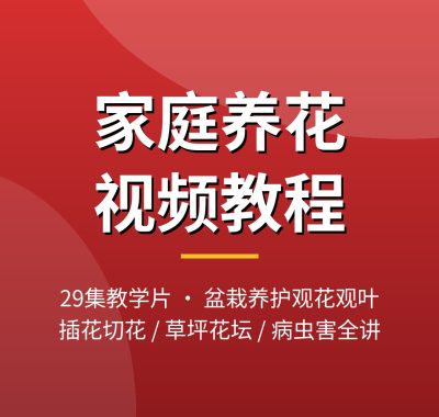 家庭养花视频教程29集 盆栽养护插花切花夸克网盘下载