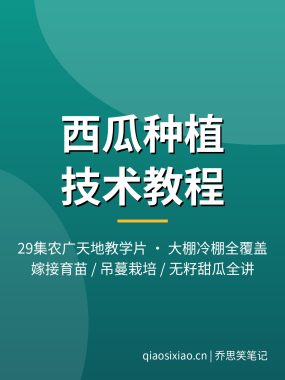 西瓜种植技术教程视频_大棚西瓜嫁接吊蔓栽培29集夸克网盘下载
