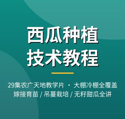 西瓜种植技术教程视频_大棚西瓜嫁接吊蔓栽培29集夸克网盘下载