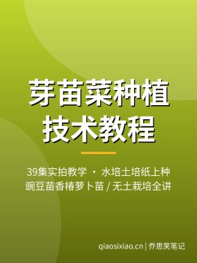 芽菜种植技术视频教程_家庭水培芽苗菜香椿豌豆苗39集夸克网盘下载