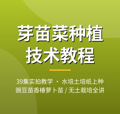 芽菜种植技术视频教程_家庭水培芽苗菜香椿豌豆苗39集夸克网盘下载