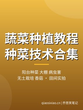 蔬菜种植教程合集:阳台种菜、大棚蔬菜、病虫害防治、无土栽培、香菇从入门到高产