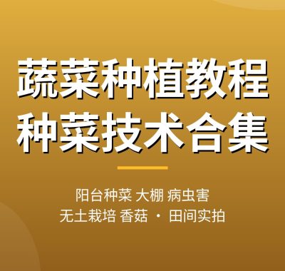 蔬菜种植教程合集：阳台种菜、大棚蔬菜、病虫害防治、无土栽培、香菇从入门到高产