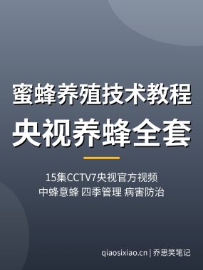 蜜蜂养殖技术教程【15集CCTV7央视视频】养蜂技术全套夸克网盘下载