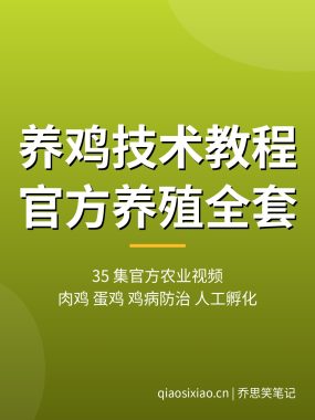 养鸡技术教程【35 集官方农业视频】肉鸡蛋鸡鸡病防治全套夸克网盘下载