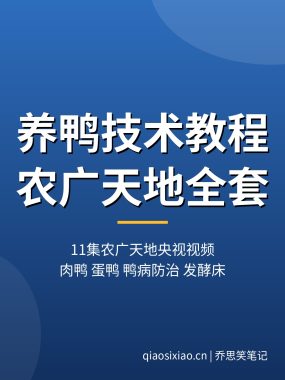 养鸭技术教程【11集农广天地央视视频】肉鸭蛋鸭鸭病防治全套夸克网盘下载