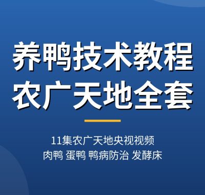 养鸭技术教程【11集农广天地央视视频】肉鸭蛋鸭鸭病防治全套夸克网盘下载