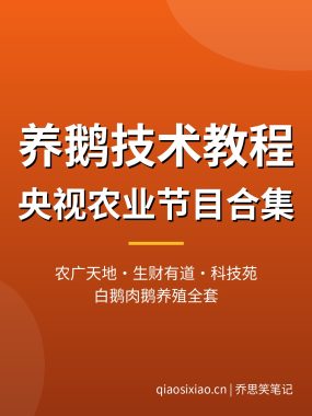 养鹅技术教程【农广天地+生财有道+科技苑】白鹅肉鹅养殖全套夸克网盘下载