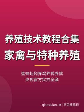 养殖技术教程合集：蜜蜂蚯蚓养鸡养鸭养鹅，家禽与特种养殖从入门到致富