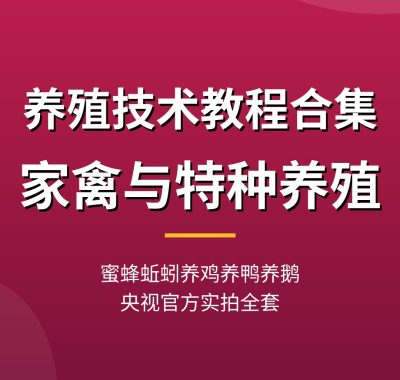 养殖技术教程合集：蜜蜂蚯蚓养鸡养鸭养鹅，家禽与特种养殖从入门到致富