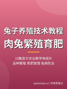 兔子养殖技术教程【10集农业教学片】肉兔獭兔繁殖育肥夸克网盘