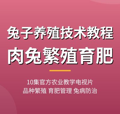 兔子养殖技术教程【10集农业教学片】肉兔獭兔繁殖育肥夸克网盘