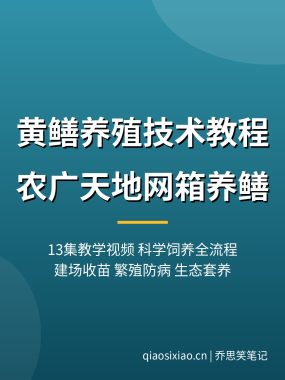 黄鳝养殖技术教程【农广天地13集】网箱养黄鳝 夸克网盘下载