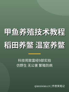 甲鱼养殖技术教程视频【9部科技苑致富经】稻田温室养鳖夸克网盘