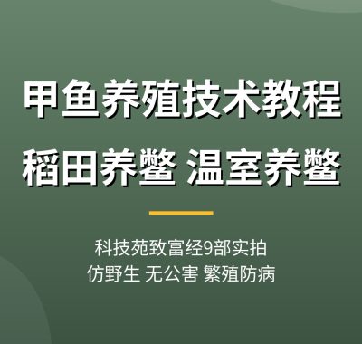 甲鱼养殖技术教程视频【9部科技苑致富经】稻田温室养鳖夸克网盘
