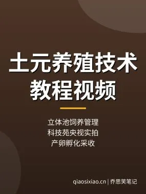 土元养殖技术教程：立体池饲养管理，科技苑央视视频（2026）