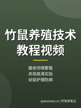 竹鼠养殖技术教程：圈舍饲喂繁殖防病，央视农广天地高清视频（干货满满）