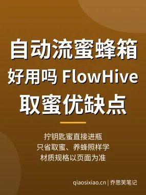 自动流蜜蜂箱好用吗？FlowHive取蜜蜂箱优缺点
