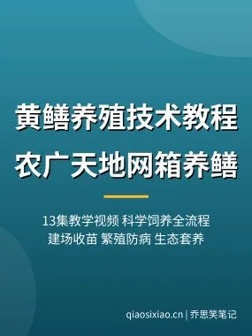 黄鳝养殖技术教程【农广天地13集】网箱养黄鳝 夸克网盘下载