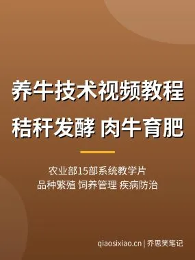 养牛技术视频教程【农业部15部教学】秸秆发酵养牛 夸克网盘