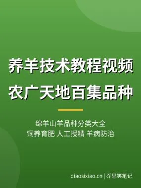 养羊技术教程视频【农广天地百集】品种分类 羊病防治夸克网盘