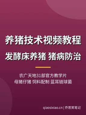 养猪技术视频教程【农广天地31部】发酵床+猪病防治夸克网盘