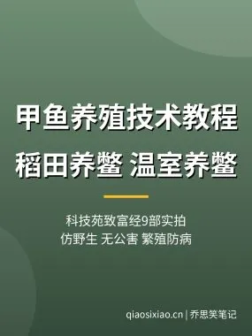 甲鱼养殖技术教程视频【9部科技苑致富经】稻田温室养鳖夸克网盘