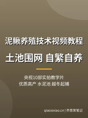泥鳅养殖技术视频教程【10部央视片】土池围网自繁自养夸克网盘